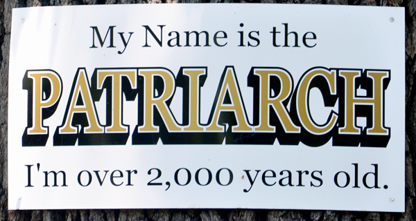 Patriarch sign